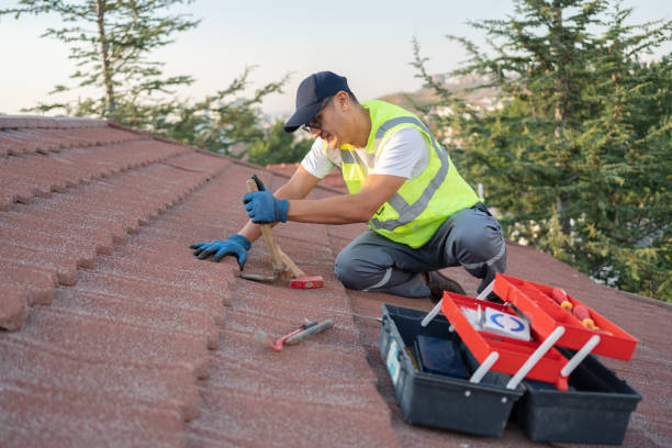 Professional Roofing Contractor in The Crossings, FL